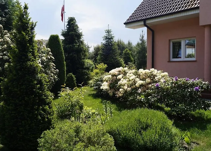 Mango ゲストハウス